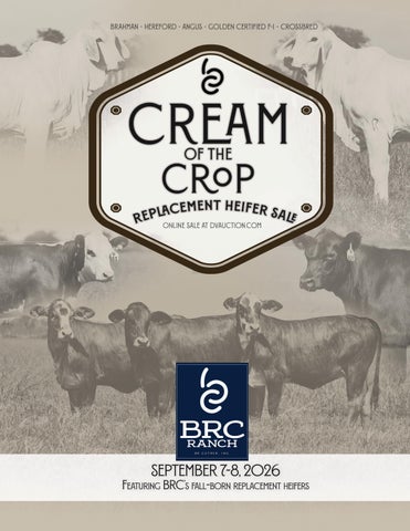 BRC Cream of the Crop Replacement Heifer Sale