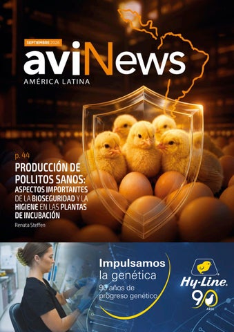 avinews septiembre 2026