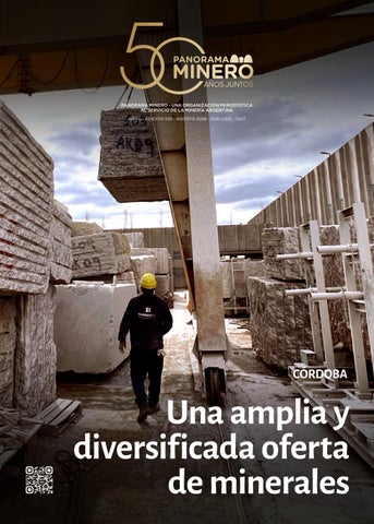 Panorama Minero - Edición 555