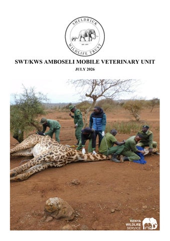 SWT/KWS Amboseli Veterinary Unit Report for July 2026