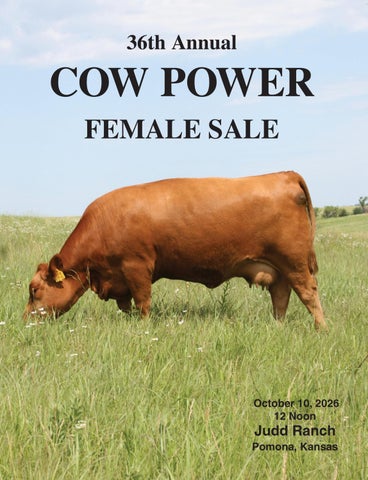 Judd Ranch 36th Annual Cow Power Female Sale