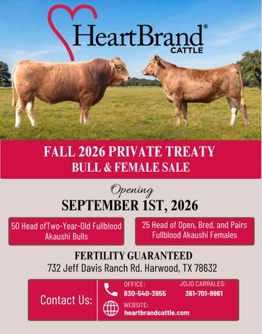 HeartBrand Cattle Fall 2026 Private Treaty Female Sale Catalog