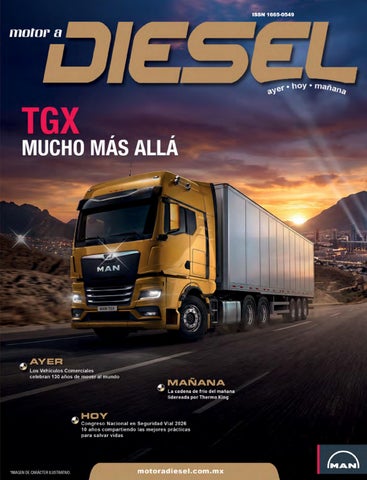 Edición333