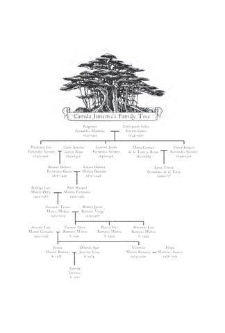 Excerpt from A MISSING FRAME OF TIME 第 6 页