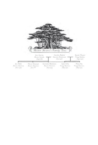Excerpt from A MISSING FRAME OF TIME 第 7 页