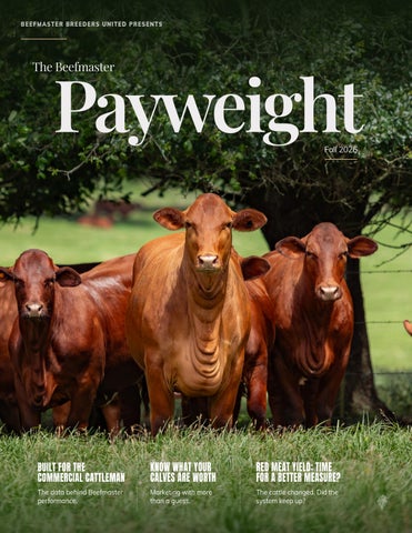 The Payweight | Fall 2026