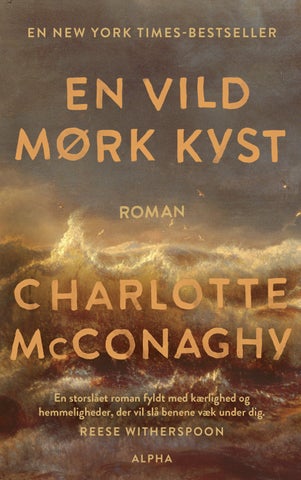 En vild mørk kyst