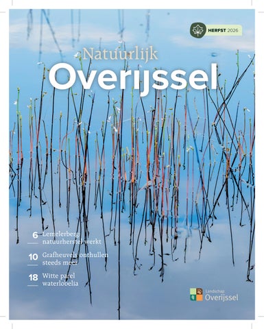 Natuurlijk Overijssel, herfst 2026