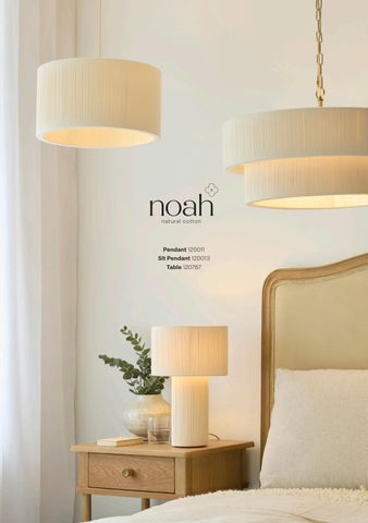 Endon Lighting Endon Directory Sneak Peek 灯饰型录 (AW26) 第 21 页