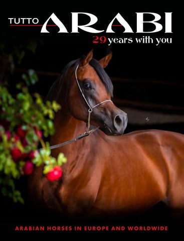 Tutto Arabi Special September Edition 2026
