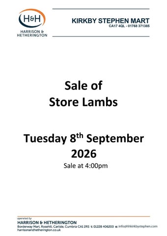KS Store Lambs 080926