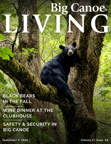 BigCanoeLiving_Vol3_Issue18 (3)