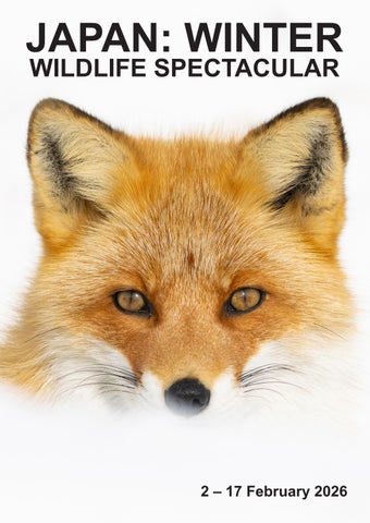 JAPAN: WINTER WILDLIFE SPECTACULAR 2026