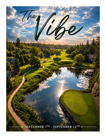 THE VIBE 9.7.26