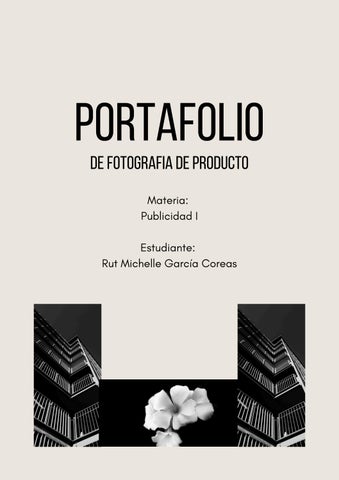 PORTAFOLIO - PUBLICIDAD I