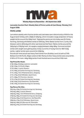 NWA NEWSLETTER 040926