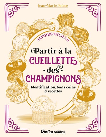 Partir à la cueillette des champignons