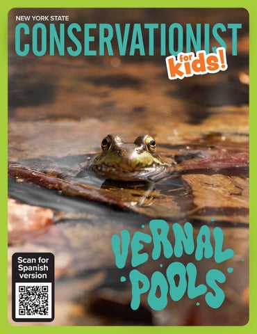 Conservationist for Kids - Feb 2026