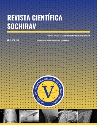 Revista_Cientifica_SOCHIRAV_Vol2-V8