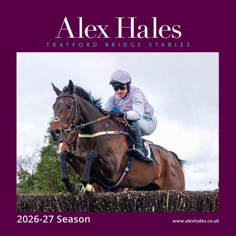 Alex Hales 2026 Brochure