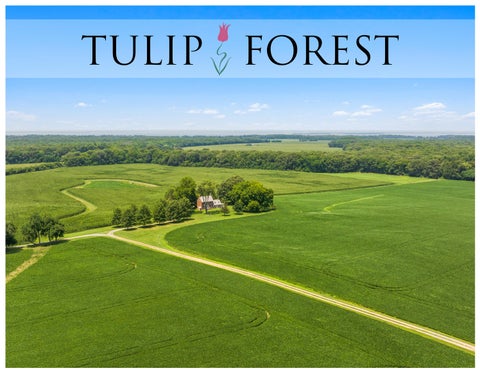 Tulip Forest Brochure 2026 issuu