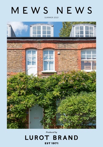 Mews News Summer 2021