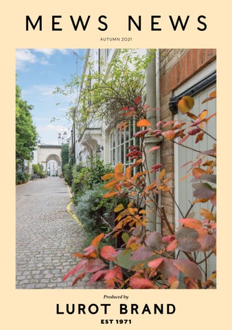 Mews News Autumn 2021