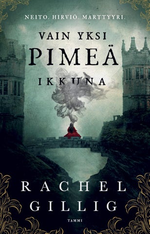 Gillig, Rachel: Vain yksi pimeä ikkuna (Tammi)