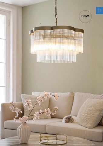 Endon Lighting 灯饰目录 · Endon Directory AW26/27 第 13 页