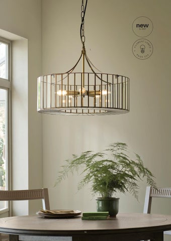 Endon Lighting 灯饰目录 · Endon Directory AW26/27 第 16 页