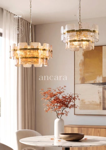 Endon Lighting 灯饰目录 · Endon Directory AW26/27 第 4 页