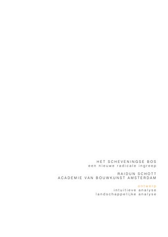 Raidun Schott - Boek 1 - Het Scheveningse Bos
