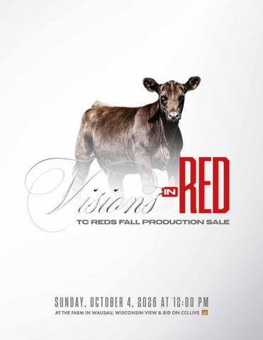 Visions In Red | 2026 
