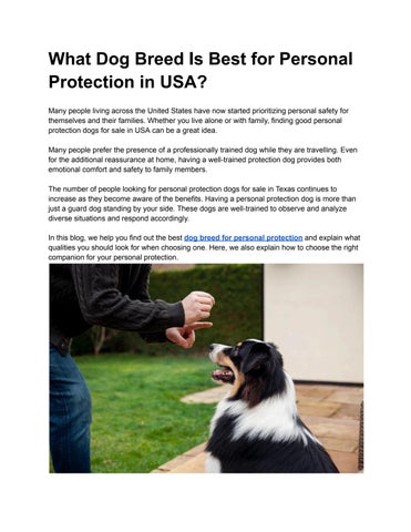 What Dog Breed Is Best for Personal Protection in USA