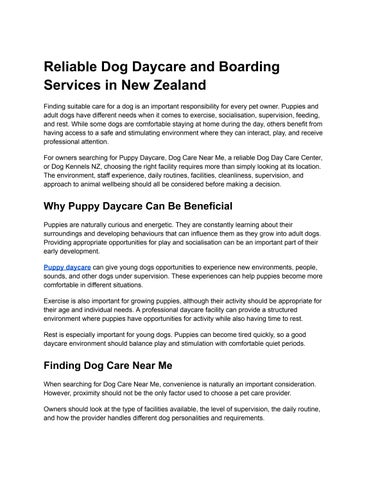 Reliable Dog Daycare and Boarding Services in New Zealand  (1)