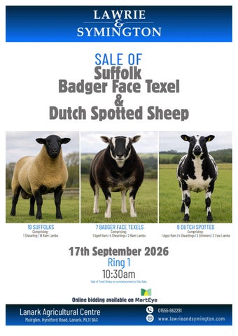 9. 170926 - BFT, DS, Suff - MultiBreed Catalogue - FINAL