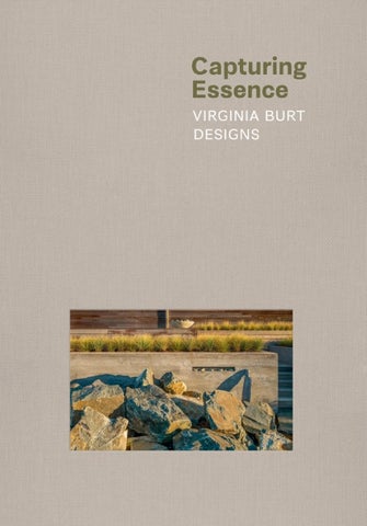 Capturing Essence