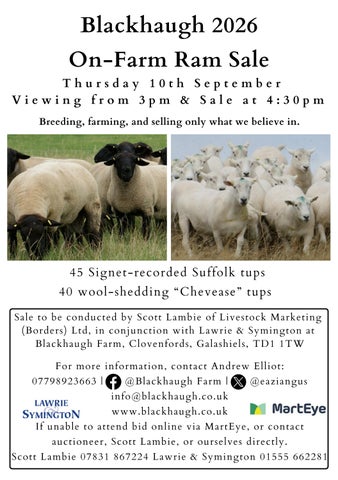 9. 100926 - Blackhaugh Sheep Sale Catalogue