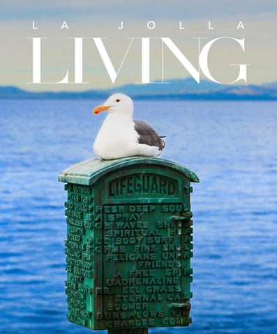 Volume 3 Issue 1