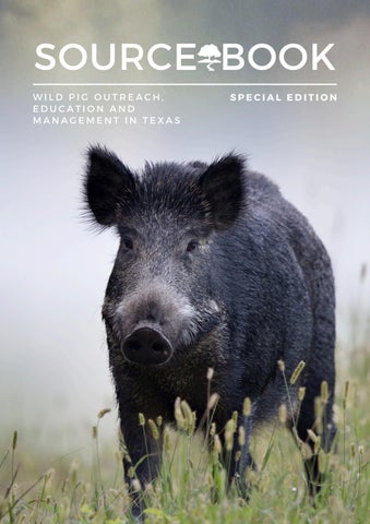 NRI Special Edition Sourcebook: Wild Pigs