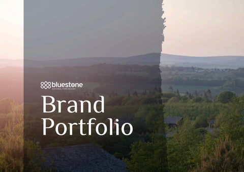 Bluestone Brand Portfolio