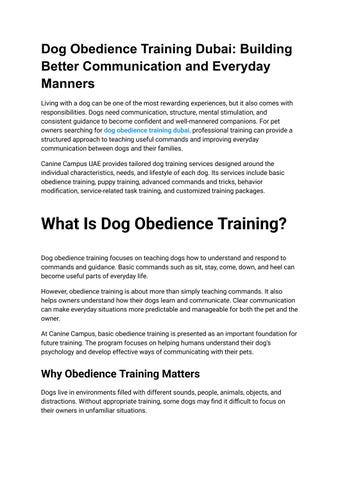 dog obedience training dubai