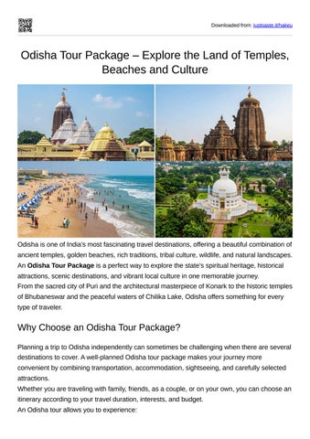odisha tour package complete guide assistance 