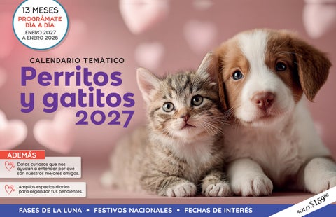 GATITOS Y PERRITOS 2027 NM CL