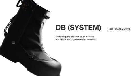 FF_DBsystem