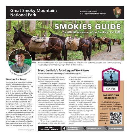2026 Fall Smokies Guide Newspaper