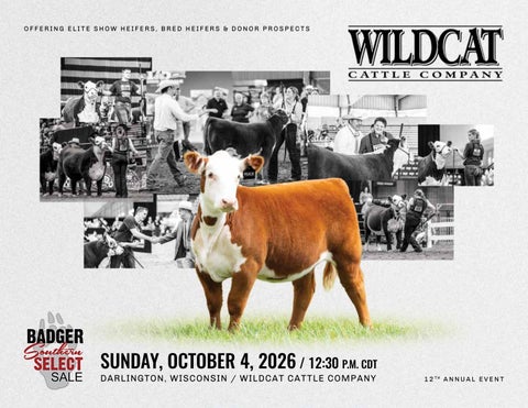 WildCat Cattle Company | 2026 Badger Southern Select Sale