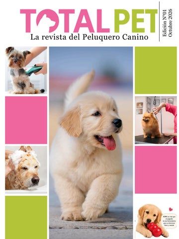 Es una revista digital pensada exclusivamente para el profesional en peluqu_20260912_155404_0000