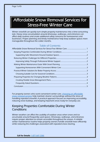 Affordable Snow Removal for Winter Care