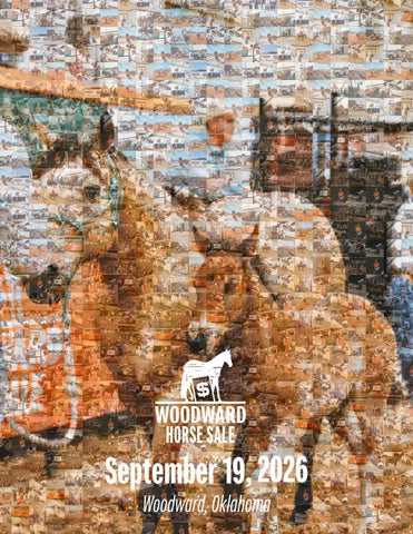 Fall 2026 Woodward Horse Sale Catalog